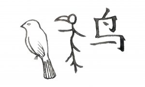 han-schriftzeichen-vogel-300x-q85